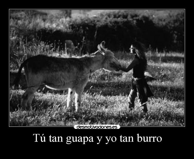 Tú tan guapa y yo tan burro - 