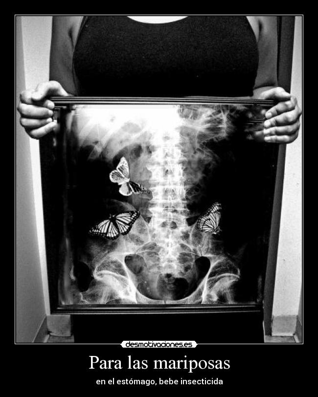 Para las mariposas - en el estómago, bebe insecticida