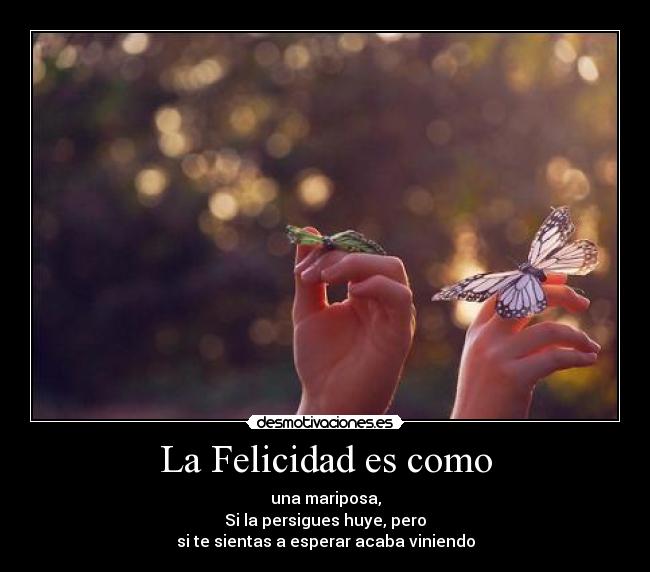 La Felicidad es como - una mariposa,
Si la persigues huye, pero
si te sientas a esperar acaba viniendo