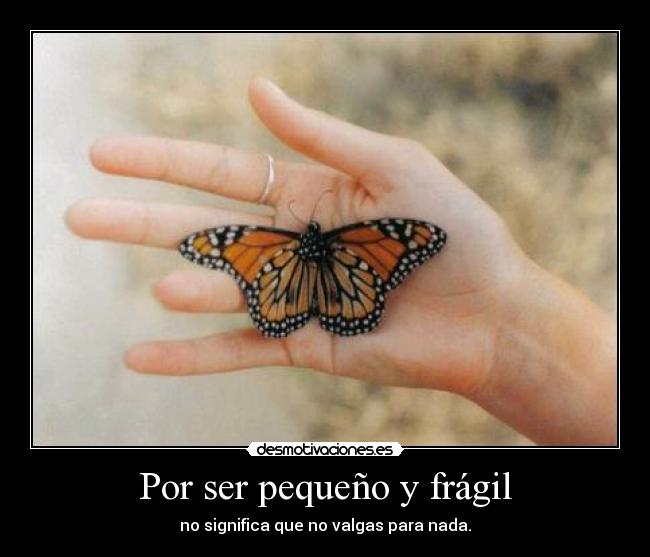 Por ser pequeño y frágil -
