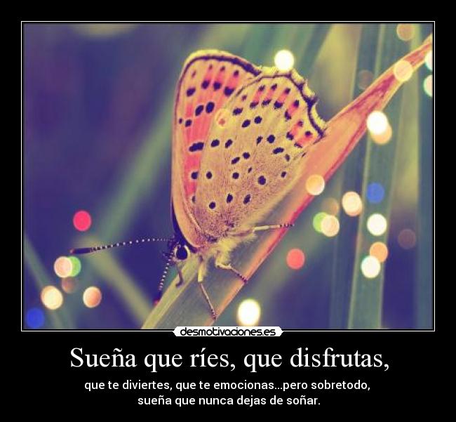 Sueña que ríes, que disfrutas, - 