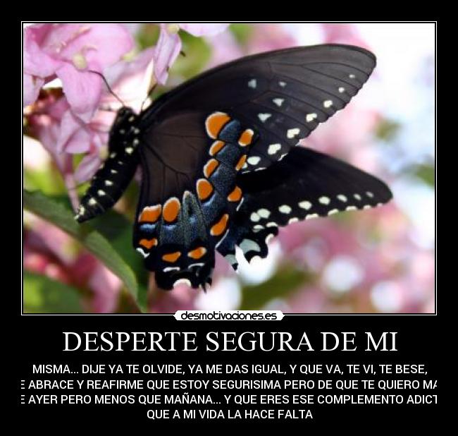 DESPERTE SEGURA DE MI - MISMA... DIJE YA TE OLVIDE, YA ME DAS IGUAL, Y QUE VA, TE VI, TE BESE,
TE ABRACE Y REAFIRME QUE ESTOY SEGURISIMA PERO DE QUE TE QUIERO MAS
QUE AYER PERO MENOS QUE MAÑANA... Y QUE ERES ESE COMPLEMENTO ADICTIVO
QUE A MI VIDA LA HACE FALTA