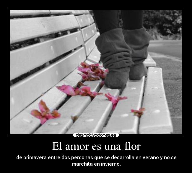 El amor es una flor - 