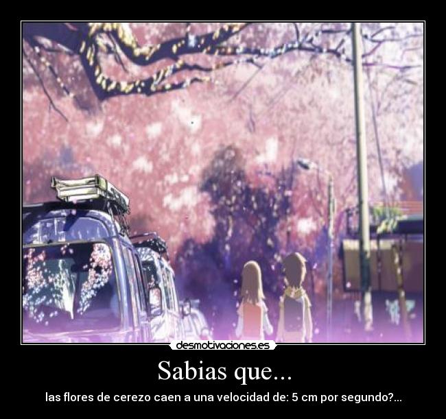 Sabias que... -