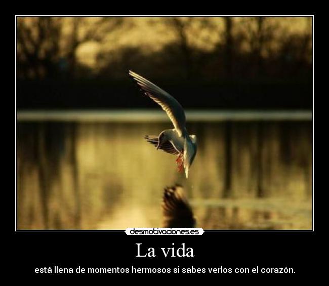 La vida - está llena de momentos hermosos si sabes verlos con el corazón.