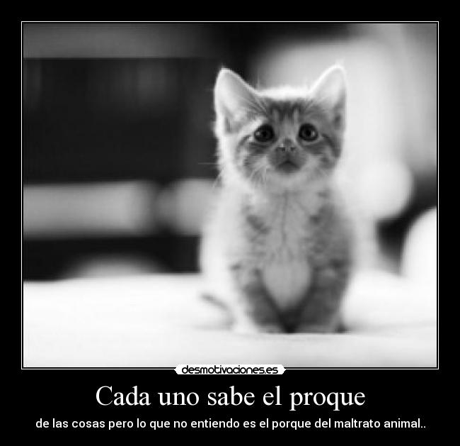 carteles fvreacdscrdd desmotivaciones