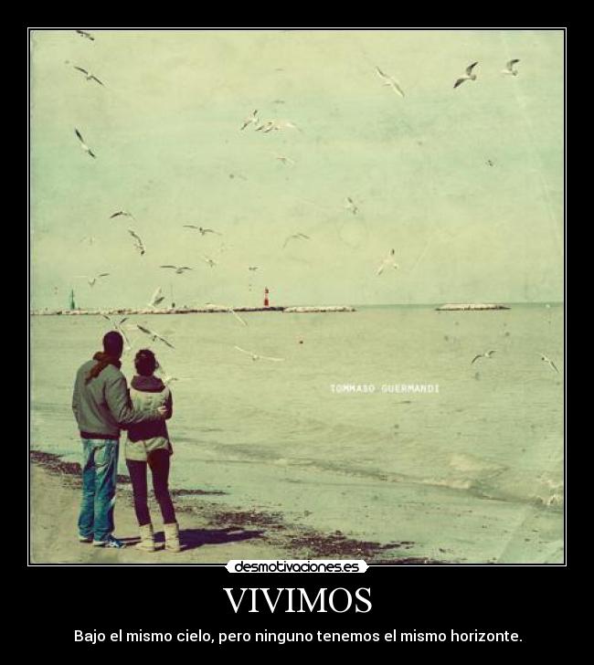 VIVIMOS -