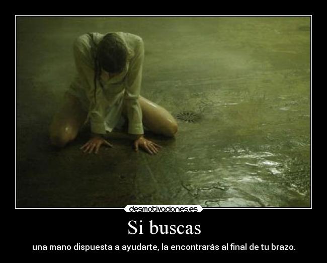 Si buscas -