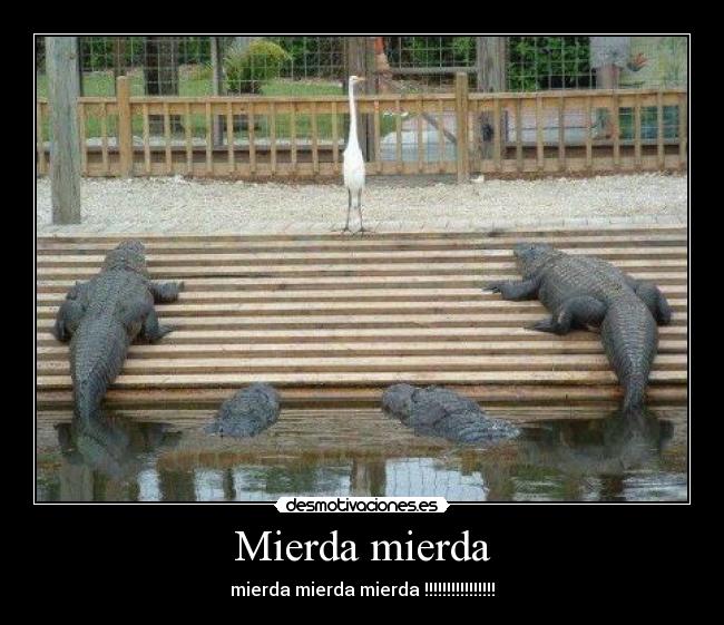 Mierda mierda - mierda mierda mierda !!!!!!!!!!!!!!!!