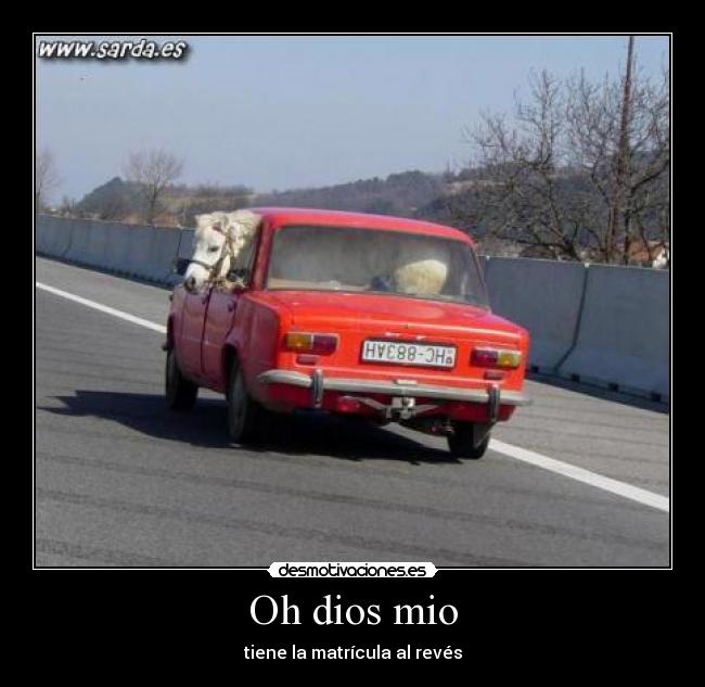 Oh dios mio - tiene la matrícula al revés