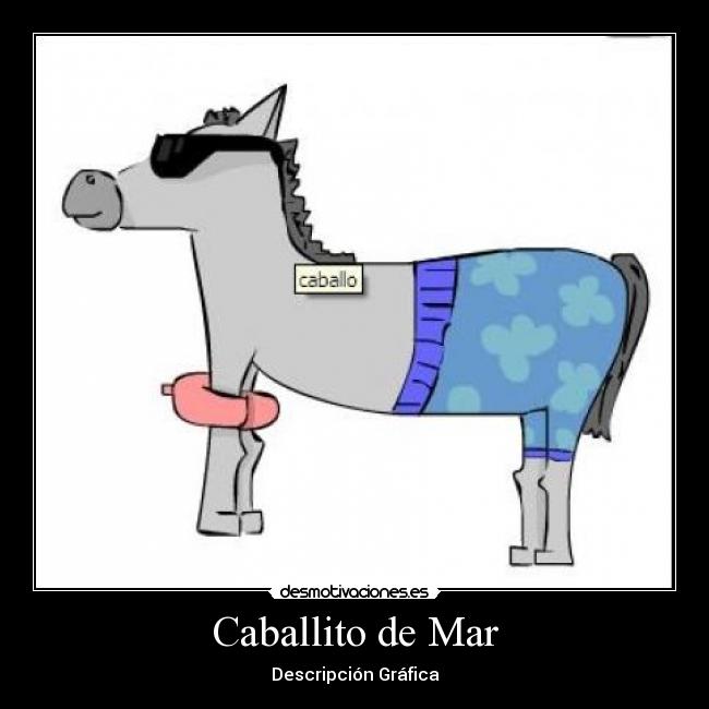 Caballito de Mar -