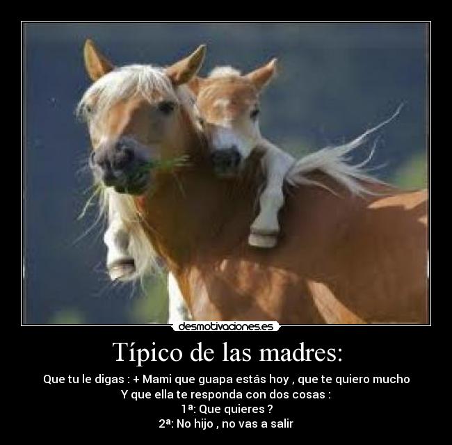 Típico de las madres: - Que tu le digas : + Mami que guapa estás hoy , que te quiero mucho
Y que ella te responda con dos cosas :
1ª: Que quieres ?
2ª: No hijo , no vas a salir