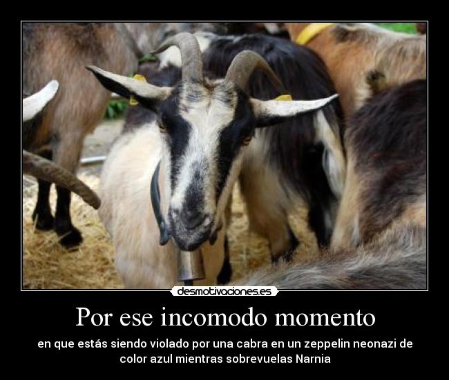 Por ese incomodo momento - en que estás siendo violado por una cabra en un zeppelin neonazi de
color azul mientras sobrevuelas Narnia