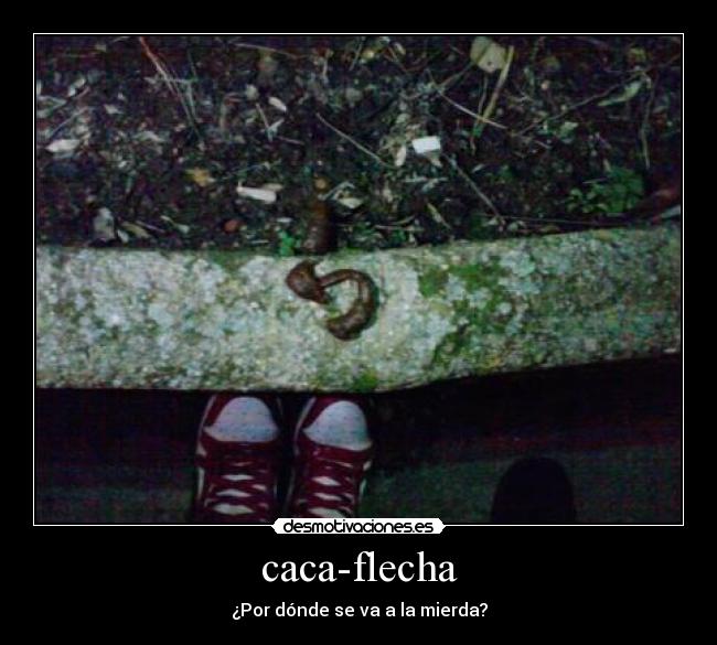 caca-flecha - 