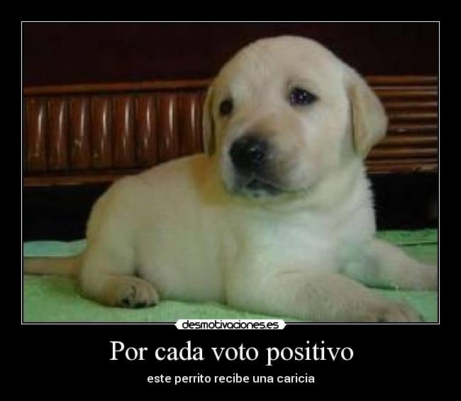 Por cada voto positivo -