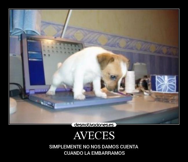 AVECES -