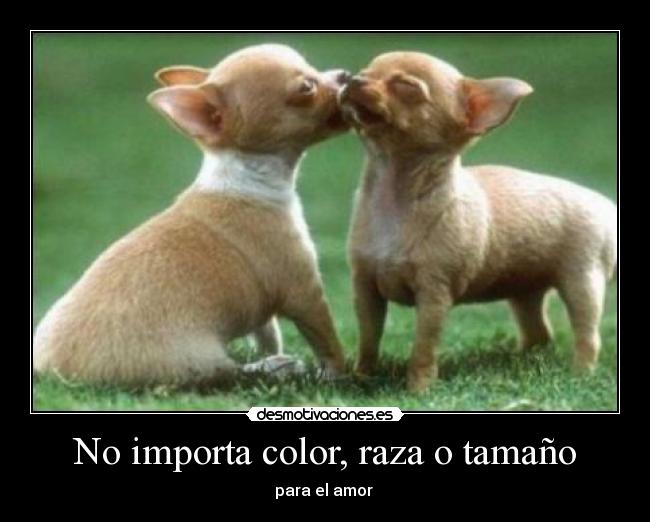 No importa color, raza o tamaño - para el amor
