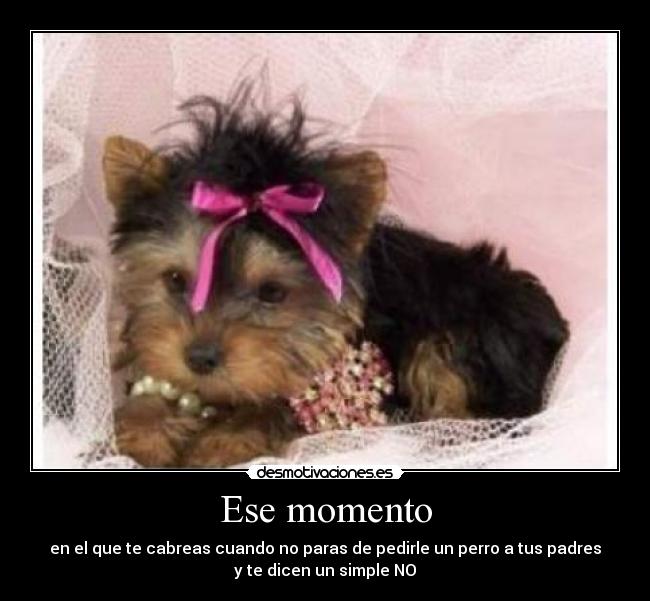 Ese momento -