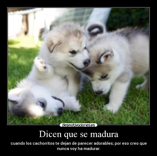 Dicen que se madura - 