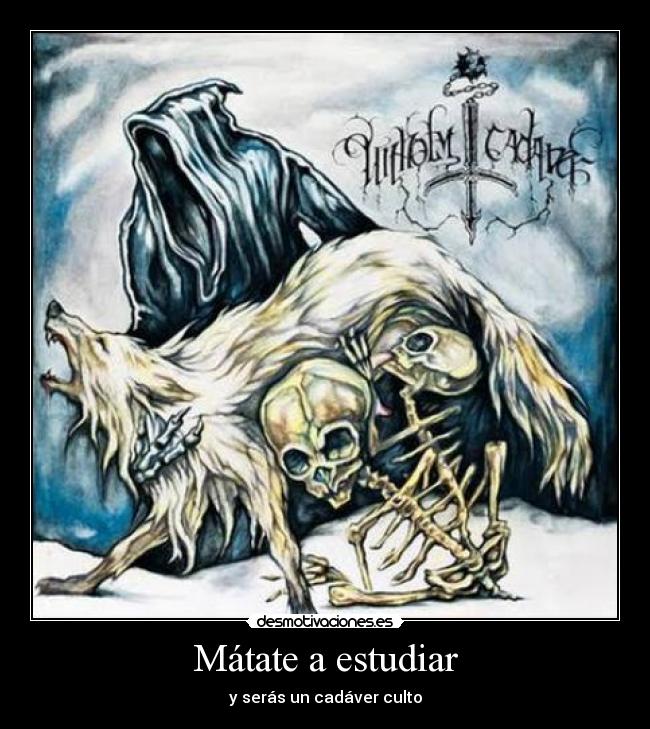 Mátate a estudiar - 