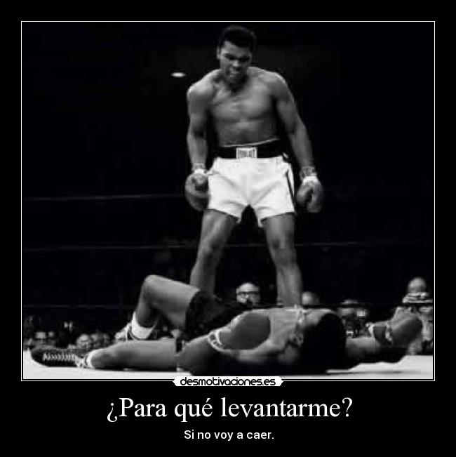 carteles loupsolitaire cassius clai muhamend ali fumun vendidi desmotivaciones