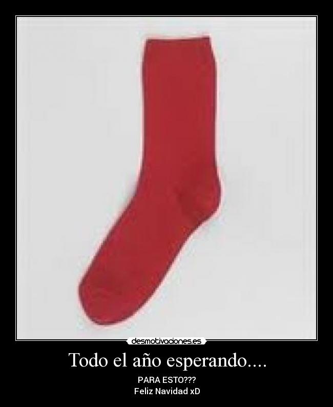Todo el año esperando.... - 