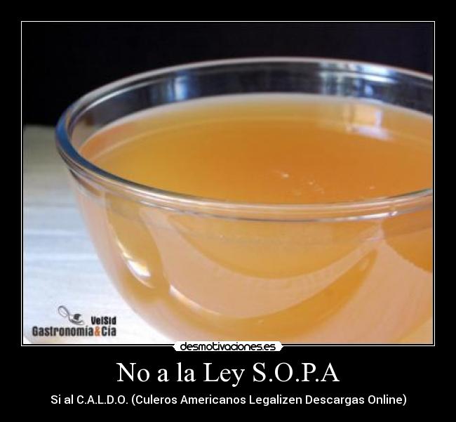 No a la Ley S.O.P.A -