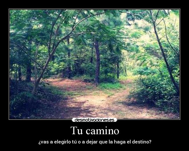 Tu camino - 
