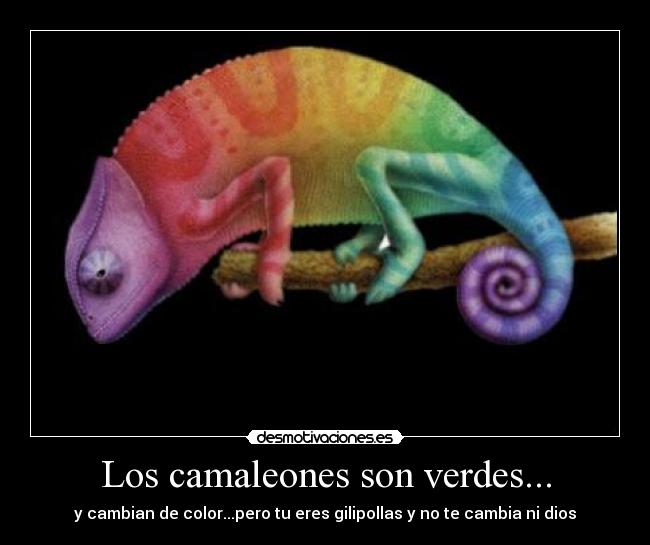 Los camaleones son verdes... - 