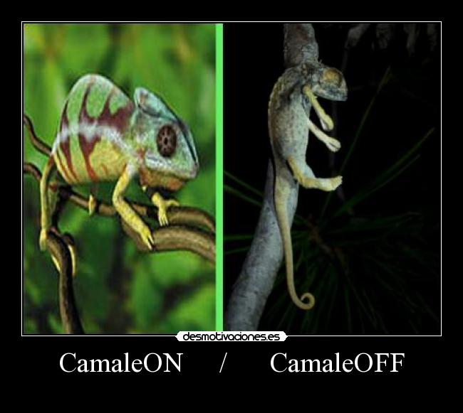 CamaleON     /      CamaleOFF - 