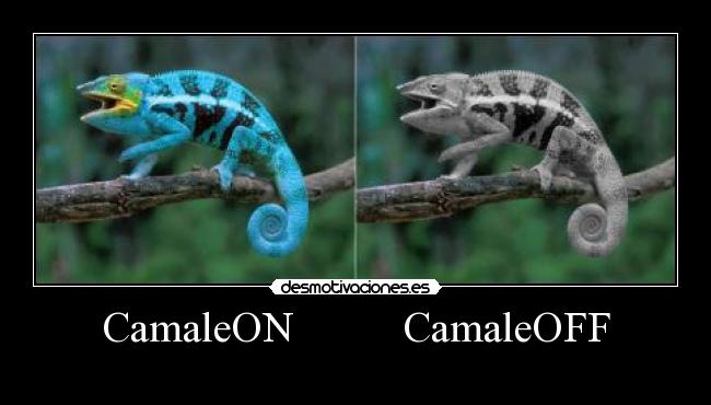 carteles imagen montada por mi pero idea humorabsurdo desmotivaciones