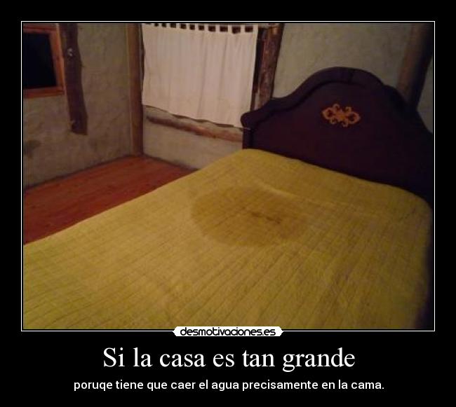 Si la casa es tan grande - poruqe tiene que caer el agua precisamente en la cama.