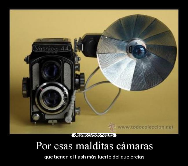 Por esas malditas cámaras - que tienen el flash más fuerte del que creías