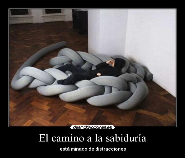 El camino a la sabiduría - está minado de distracciones