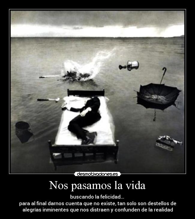 Nos pasamos la vida - buscando la felicidad...
para al final darnos cuenta que no existe, tan solo son destellos de
alegrías inminentes que nos distraen y confunden de la realidad