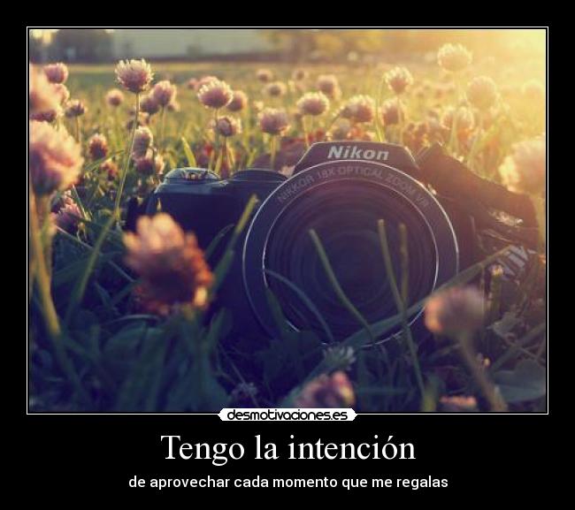 Tengo la intención -