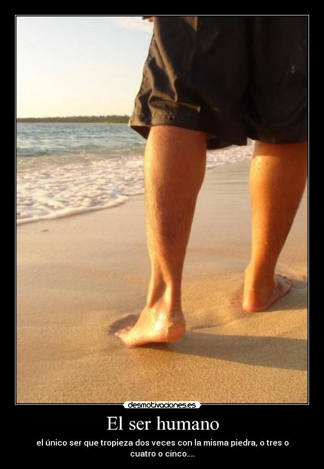 carteles aaa desmotivaciones