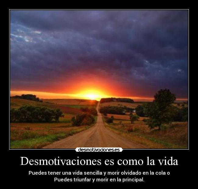 Desmotivaciones es como la vida -