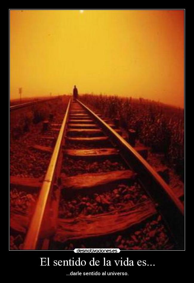 El sentido de la vida es... - ...darle sentido al universo.