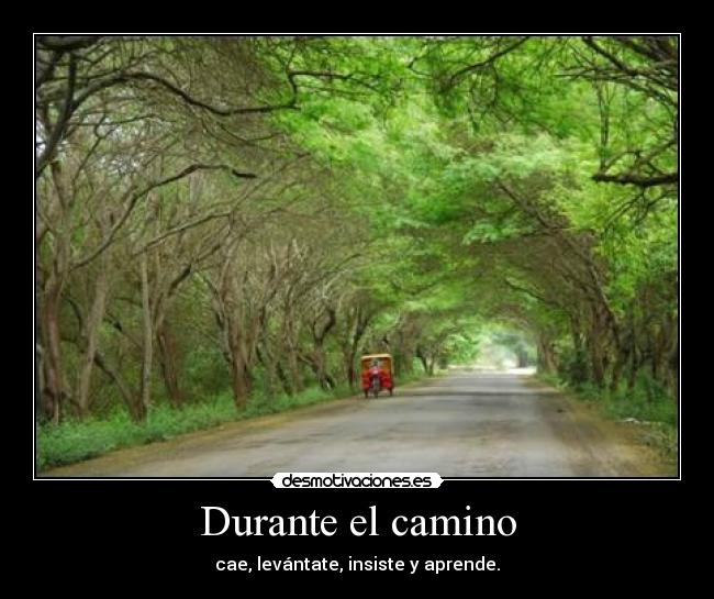 Durante el camino - cae, levántate, insiste y aprende.