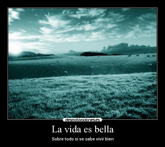 La vida es bella - 