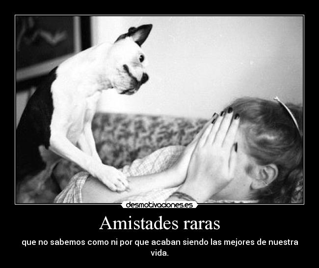 Amistades raras - que no sabemos como ni por que acaban siendo las mejores de nuestra vida.