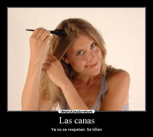 Las canas - Ya no se respetan. Se tiñen