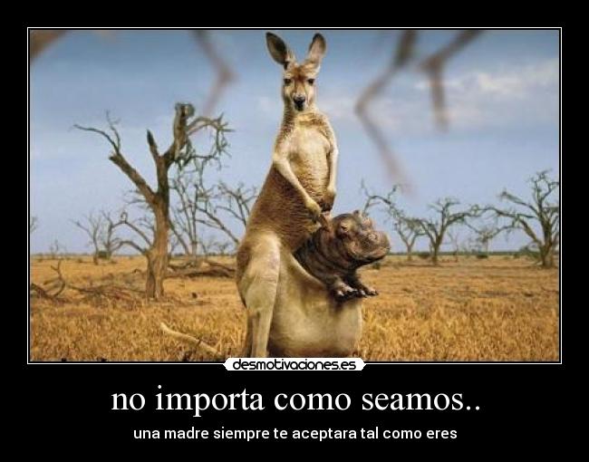 no importa como seamos.. - una madre siempre te aceptara tal como eres