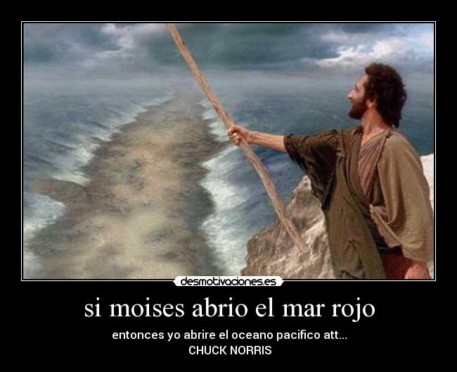 carteles moises desmotivaciones