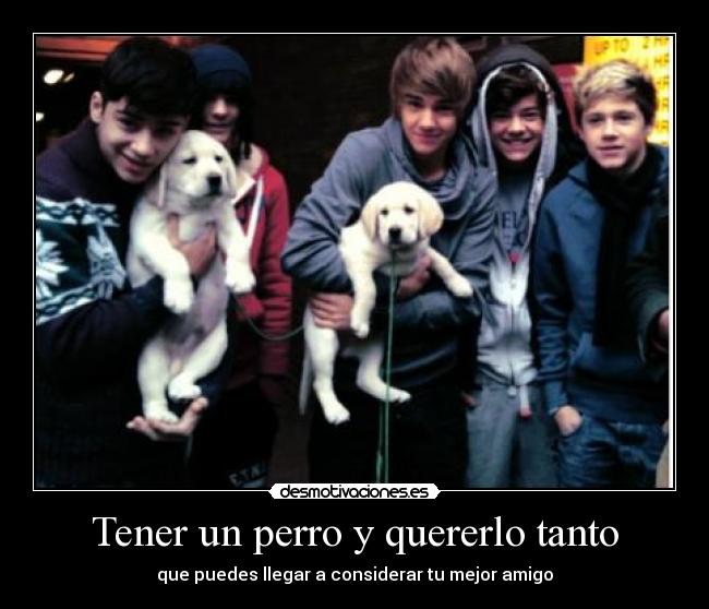 Tener un perro y quererlo tanto - que puedes llegar a considerar tu mejor amigo