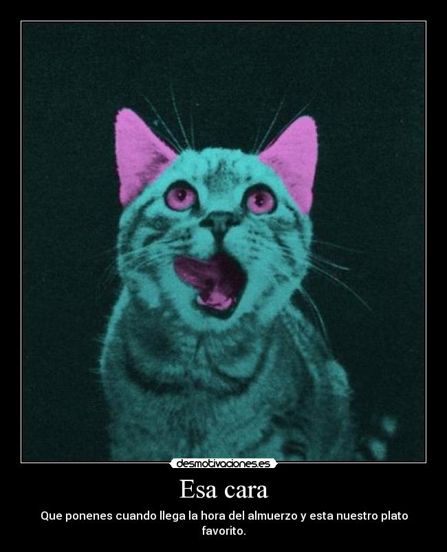Esa cara - Que ponenes cuando llega la hora del almuerzo y esta nuestro plato favorito.