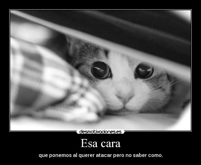 carteles nam nam desmotivaciones