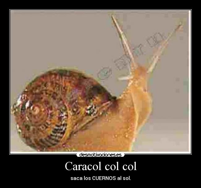 Caracol col col - saca los CUERNOS al sol.