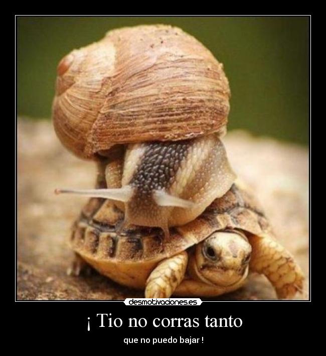 ¡ Tio no corras tanto - que no puedo bajar !